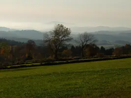 Der Bayerische Wald