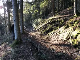 Der Wimmerkanal